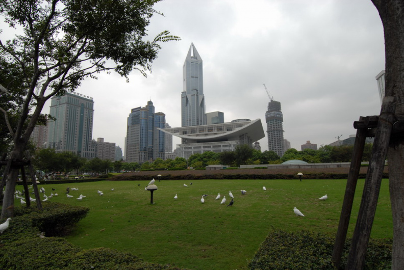 DSC_0119.JPG